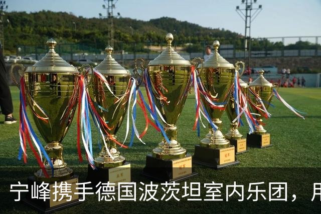 宁峰携手德国波茨坦室内乐团，用一晚演绎莫扎特五部小提琴协奏曲